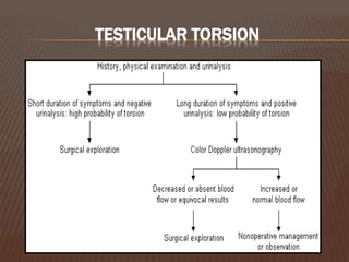 TESTICULAR TORSION
 
