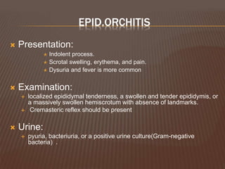 EPID.ORCHITIS
 Presentation:
 Indolent process.
 Scrotal swelling, erythema, and pain.
 Dysuria and fever is more common
 Examination:
 localized epididymal tenderness, a swollen and tender epididymis, or
a massively swollen hemiscrotum with absence of landmarks.
 Cremasteric reflex should be present
 Urine:
 pyuria, bacteriuria, or a positive urine culture(Gram-negative
bacteria) .
 