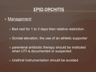 EPID.ORCHITIS
 Management:
 Bed rest for 1 to 3 days then relative restriction .
 Scrotal elevation, the use of an athletic supporter
 parenteral antibiotic therapy should be instituted
when UTI is documented or suspected.
 Urethral instrumentation should be avoided
 