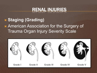 RENAL INJURIES
 Staging (Grading)
 American Association for the Surgery of
Trauma Organ Injury Severity Scale
 