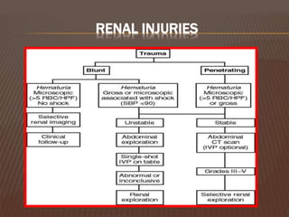 RENAL INJURIES
 