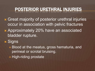 POSTERIOR URETHRAL INJURIES
 Great majority of posterior urethral injuries
occur in association with pelvic fractures
 Approximately 20% have an associated
bladder rupture.
 Signs
 Blood at the meatus, gross hematuria, and
perineal or scrotal bruising.
 High-riding prostate
 