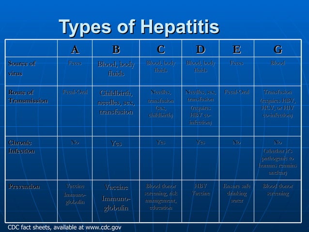 Acute viral hepatitis PPT