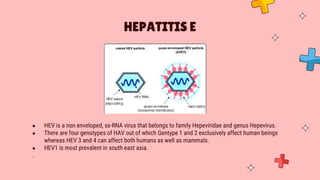 ● HEV is a non enveloped, ss-RNA virus that belongs to family Hepeviridae and genus Hepevirus.
● There are four genotypes of HAV out of which Gentype 1 and 2 exclusively affect human beings
whereas HEV 3 and 4 can affect both humans as well as mammals.
● HEV1 is most prevalent in south east asia.
.
HEPATITIS E
 