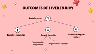 OUTCOMES OF LIVER INJURY
1
Acute hepatitis
3
Hepatocellular carcinoma
Complete resolution
2
Cirrhosis and its
complication
Chronic Hepatitis
4
Fulminant hepatic
failure
 