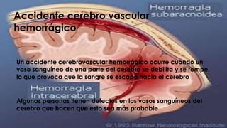 Accidente cerebro vascular
hemorrágico
Un accidente cerebrovascular hemorrágico ocurre cuando un
vaso sanguíneo de una parte del cerebro se debilita y se rompe,
lo que provoca que la sangre se escape hacia el cerebro
Algunas personas tienen defectos en los vasos sanguíneos del
cerebro que hacen que esto sea más probable
 