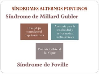 Hemiplejia
contralateral
respetando cara
Anestesia para la
sensibilidad y
artrocinetica
contralaterales
Parálisis ipsilateral
delVI par
 