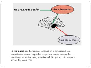 Importancia: que las neuronas localizada en la periferia del área
isquémica que sobreviven pueden recuperarse cuando mejoran las
condiciones hemodinámicas y se restaura el FSC que permite un aporte
normal de glucosa y O2
 