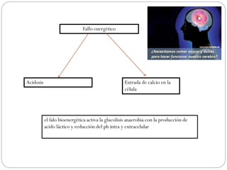 Fallo energético
Acidosis Entrada de calcio en la
célula
el falo bioenergética activa la glucolisis anaerobia con la producción de
acido láctico y reducción del ph intra y extracelular
 