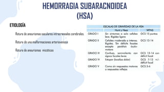 HEMORRAGIA SUBARACNOIDEA
(HSA)
ETIOLOGÍA
Rotura de aneurismas saculares intracraneales cerebrales.
Rotura de una malformaciones arteriovenosa
Rotura de aneurismas micóticos
 