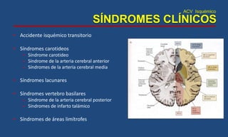 ACV Isquémico
SÍNDROMES CLÍNICOS
• Accidente isquémico transitorio
• Síndromes carotideos
– Síndrome carotideo
– Síndrome de la arteria cerebral anterior
– Síndromes de la arteria cerebral media
• Síndromes lacunares
• Síndromes vertebro basilares
– Síndrome de la arteria cerebral posterior
– Síndromes de infarto talámico
• Síndromes de áreas limítrofes
 