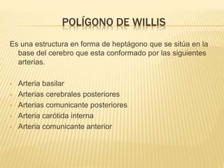 POLÍGONO DE WILLIS
Es una estructura en forma de heptágono que se sitúa en la
base del cerebro que esta conformado por las...