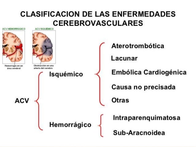 Como guardarse de los helmintos
