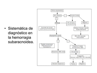 • Sistemática de 
diagnóstico en 
la hemorragia 
subaracnoidea. 
 