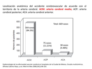 Localización anatómica del accidente cerebrovascular de acuerdo con el 
territorio de la arteria cerebral. ACM: arteria cerebral media; ACP: arteria 
cerebral posterior; ACA: arteria cerebral anterior. 
564 casos 
(84.3%) 
Total: 669 casos 
75 casos 
(11.21%) 30 casos 
(4.48%) 
Epidemiología de la enfermedad vascular cerebral en hospitales de la Ciudad de México. Estudio multicéntrico. 
Alfredo Cabrera Rayo, y col. Med Int Mex 2008;24(2):98-103. 
 