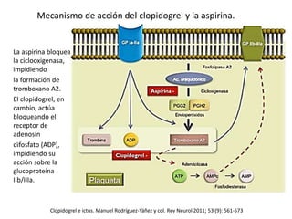 Mecanismo de acción del clopidogrel y la aspirina. 
La aspirina bloquea 
la ciclooxigenasa, 
impidiendo 
la formación de 
tromboxano A2. 
El clopidogrel, en 
cambio, actúa 
bloqueando el 
receptor de 
adenosín 
difosfato (ADP), 
impidiendo su 
acción sobre la 
glucoproteína 
IIb/IIIa. 
Clopidogrel e ictus. Manuel Rodríguez-Yáñez y col. Rev Neurol 2011; 53 (9): 561-573 
 