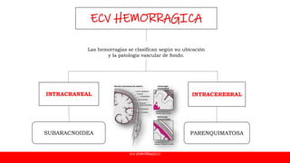 ACV HEMORRAGICO
Las hemorragias se clasifican según su ubicación
y la patología vascular de fondo.
ECV HEMORRAGICA
INTRACRANEAL
SUBARACNOIDEA
INTRACEREBRAL
PARENQUIMATOSA
 