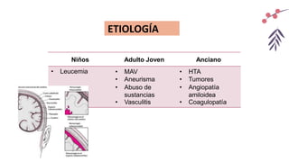 ETIOLOGÍA
Niños Adulto Joven Anciano
• Leucemia • MAV
• Aneurisma
• Abuso de
sustancias
• Vasculitis
• HTA
• Tumores
• Angiopatía
amiloidea
• Coagulopatía
 