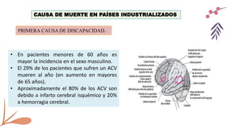 CAUSA DE MUERTE EN PAÍSES INDUSTRIALIZADOS
PRIMERA CAUSA DE DISCAPACIDAD.
• En pacientes menores de 60 años es
mayor la incidencia en el sexo masculino.
• El 29% de los pacientes que sufren un ACV
mueren al año (en aumento en mayores
de 65 años).
• Aproximadamente el 80% de los ACV son
debido a infarto cerebral isquémico y 20%
a hemorragia cerebral.
 