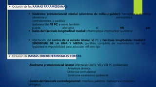  Oclusión de las RAMAS PARAMEDIANAS:
 Síndrome protuberancial medial (síndrome de millard-gubler): hemiplejía y anestesia
vibratoria y artrocinética
contralaterales, y parálisis
ipsilateral del VI PC; a veces también
puede afectarse el VII par.
 Daño del fascículo longitudinal medial: oftalmoplejía intemuclear ipsilateral.
 Afectación del centro de la mirada lateral, VI PC y fascículo longitudinal medial
SÍNDROME DE LA UNA Y MEDIA: parálisis completa de movimientos del ojo
ipsilateral e imposibilidad para aducción del otro ojo.
 Oclusión de RAMAS CIRCUNFERENCIALES CORTAS:
-Síndrome protuberancial lateral: Afectación del V, VII y VIII PC ipsilaterales
Anestesia térmica
Dolorosa conttalateral
Síndrome cerebeloso ipsilateral
-Lesión del fascículo centrotegmental: mioclono palatino, diafragma o músculos
laríngeos.
 