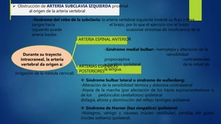 ARTERIAS ESPINALES
POSTERIORES
ARTERIA ESPINAL ANTERIOR
 Obstrucción de ARTERIA SUBCLAVIA IZQUIERDA proximal
al origen de la arteria vertebral
-Síndrome del robo de la subclavia: la arteria vertebral izquierda invierte su flujo y lleva
sangre hacia el brazo, por lo que el ejercicio con el brazo
izquierdo puede ocasionar síntomas de insuficiencia de la
arteria basilar.
Durante su trayecto
intracraneal, la arteria
vertebral da origen a:
(irrigación de la médula cervical)
-Síndrome medial bulbar: -hemiplejía y alteración de la
-sensibilidad
propioceptiva -contralaterales
y parálisis ipsilateral de la mitad de
la lengua.
 Síndrome bulbar lateral o síndrome de wallenberg:
-Alteración de la sensibilidad térmica y dolorosa contralateral
-Ataxia de la marcha (por afectación de los haces espinocerebelosos o
de los pedúnculos cerebelosos) ipsilateral
disfagia, afonía y disminución del reflejo faníngeo ipsilateral
 Síndrome de Horner (haz simpático) ipsilateral:
-Nistagmo, vértigo y náuseas (núcleo vestibular), pérdida del gusto
(núcleo solitario) ipsilateral.
 