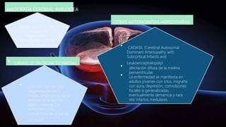 ANGIOPATÍA CEREBRAL AMILOIDEA
puede asociarse con
lesiones de
degeneración
neurofibrilar y placas
neuríticas
• arteriolosclerosis con
degeneración de la
media, engrosamiento y
división de la lámina
elástica interna con
estrechamiento
concéntrico de la luz de
los vasos.
• CADASIL (Cerebral Autosomal
Dominant Arteriopathy with
Subcortical Infarcts and
Leukoenceptialopaty)
• afectación difusa de la mielina
periventricular,
• La enfermedad se manifiesta en
adultos jóvenes con ictus, migraña
con aura, depresión, convulsiones
focales o generalizadas,
eventualmente demencia y rara
vez infartos medulares.
OTRAS ARTERIOPATÍAS HEREDITARIAS
• CARASIL (O SÍNDROME DE MAEDA)
 