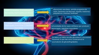 • alteraciones vasculares, pérdida progresiva de
visión, fenómeno de Reyunad, migraña, trastornos
psiquiátricos y lesiones cerebrales
I-IERNS (l-lereditary Endotheliopathy,
Retinopathy, Nephropathy and Stroke)
HANAC (Hereditary angiopathy
Nephropathy Aneurismas y Calambres
musculares)
tortuosidades de los vasos retiñíanos que producen
hemorragias, calambres musculares)
Enfermedad de Fabry
Se debe a un déficit de alfa-glicosilasa A, una enzima
lisosomal, lo que trae como consecuencia la
acumulación de glicoesfingolípídos
 