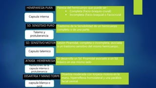 Paresia del hemicuerpo que puede ser :
 Completa (Facio-braquio-crural)
 Incompleta (Facio braquial o Faciocrural
HEMIPARESIA PURA
SD. SENSITIVO PURO Trastorno de la Sensibilidad de un hemicuerpo
completo o de una parte.
SD. SENSITIVO MOTOR
DISARTRIA Y MANO TORPE
ATAXIA -HEMIPARESIA
Lesión Piramidal, completa o incompleta, asociada
a un trastorno sensitivo del mismo hemicuerpo..
Se desarrolla un Sd. Piramidal asociado a un Sd.
Atáxico en ese mismo lado
Disartria moderada con torpeza motora en la
mano, hiperreflexia homolateral y una parálisis
facial central
Capsula interna
Talamo y
protuberancia
Capsulo talamico
Radiaciones de la
capsula interna o
protuberancia
Radiaciones de la
capsula blanca o
prot
 