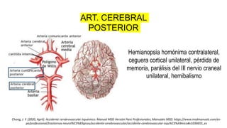 Hemianopsia homónima contralateral,
ceguera cortical unilateral, pérdida de
memoria, parálisis del III nervio craneal
unilateral, hemibalismo
ART. CEREBRAL
POSTERIOR
Chong, J. Y. (2020, April). Accidente cerebrovascular isquémico. Manual MSD Versión Para Profesionales; Manuales MSD. https://www.msdmanuals.com/es-
pe/professional/trastornos-neurol%C3%B3gicos/accidente-cerebrovascular/accidente-cerebrovascular-isqu%C3%A9mico#v1034655_es
 
