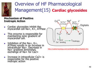 40
Overview of HF Pharmacological
Management(15) Cardiac glycosides
Mechanism of Positive
Inotropic Action
 Cardiac glyco...