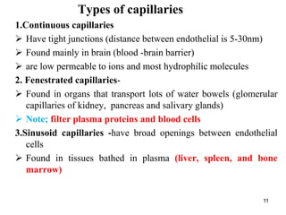 Types of capillaries
11
1.Continuous capillaries
 Have tight junctions (distance between endothelial is 5-30nm)
 Found mainly in brain (blood -brain barrier)
 are low permeable to ions and most hydrophilic molecules
2. Fenestrated capillaries-
 Found in organs that transport lots of water bowels (glomerular
capillaries of kidney, pancreas and salivary glands)
 Note; filter plasma proteins and blood cells
3.Sinusoid capillaries -have broad openings between endothelial
cells
 Found in tissues bathed in plasma (liver, spleen, and bone
marrow)
 
