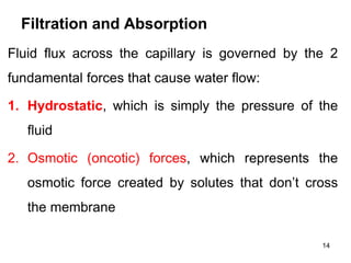 Filtration and Absorption
Fluid flux across the capillary is governed by the 2
fundamental forces that cause water flow:
1. Hydrostatic, which is simply the pressure of the
fluid
2. Osmotic (oncotic) forces, which represents the
osmotic force created by solutes that don’t cross
the membrane
14
 