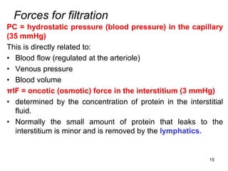 Forces for filtration
PC = hydrostatic pressure (blood pressure) in the capillary
(35 mmHg)
This is directly related to:
• Blood flow (regulated at the arteriole)
• Venous pressure
• Blood volume
πIF = oncotic (osmotic) force in the interstitium (3 mmHg)
• determined by the concentration of protein in the interstitial
fluid.
• Normally the small amount of protein that leaks to the
interstitium is minor and is removed by the lymphatics.
15
 