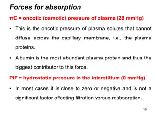 Forces for absorption
πC = oncotic (osmotic) pressure of plasma (28 mmHg)
• This is the oncotic pressure of plasma solutes that cannot
diffuse across the capillary membrane, i.e., the plasma
proteins.
• Albumin is the most abundant plasma protein and thus the
biggest contributor to this force.
PIF = hydrostatic pressure in the interstitium (0 mmHg)
• In most cases it is close to zero or negative and is not a
significant factor affecting filtration versus reabsorption.
16
 