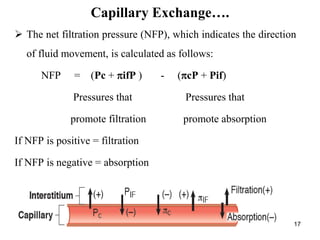 17
 The net filtration pressure (NFP), which indicates the direction
of fluid movement, is calculated as follows:
NFP = (Pc + ifP ) - (cP + Pif)
Pressures that Pressures that
promote filtration promote absorption
If NFP is positive = filtration
If NFP is negative = absorption
Capillary Exchange….
 