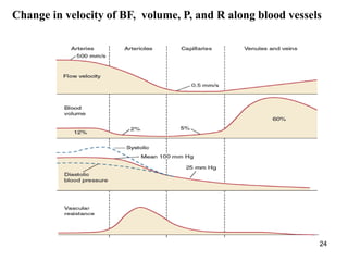 24
Change in velocity of BF, volume, P, and R along blood vessels
 