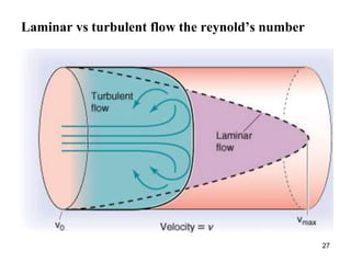 27
Laminar vs turbulent flow the reynold’s number
 