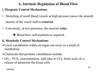 29
A. Intrinsic Regulation of Blood Flow
i. Myogenic Control Mechanisms
• Stretching of small blood vessels at high pressure causes the smooth
muscle of the vessel wall to contract.
• Conversely, at low pressures, the muscles relax.
 Blood flow will maintain as required.
ii. Metabolic Control Mechanisms
Local vasodilation within an organ can occur as a result of
metabolism
Chemicals that promote vasodilation include:
• O2 , CO2 concentrations, pH (due to CO2, lactic acid, etc.),
release of adenosine the tissue cells.
7/28/2022
 