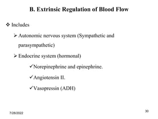 30
B. Extrinsic Regulation of Blood Flow
 Includes
Autonomic nervous system (Sympathetic and
parasympathetic)
Endocrine system (hormonal)
Norepinephrine and epinephrine.
Angiotensin II.
Vasopressin (ADH)
7/28/2022
 