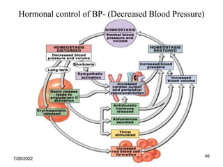 46
Hormonal control of BP- (Decreased Blood Pressure)
7/28/2022
 