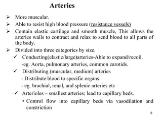 6
Arteries
 More muscular.
 Able to resist high blood pressure (resistance vessels)
 Contain elastic cartilage and smooth muscle, This allows the
arteries walls to contract and relax to send blood to all parts of
the body.
 Divided into three categories by size.
 Conducting(elastic/large)arteries-Able to expand/recoil.
-eg. Aorta, pulmonary arteries, common carotids.
 Distributing (muscular, medium) arteries
- Distribute blood to specific organs.
- eg. brachial, renal, and splenic arteries etc
 Arterioles – smallest arteries; lead to capillary beds.
• Control flow into capillary beds via vasodilation and
constriction
 