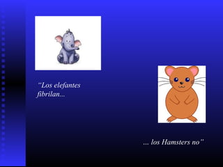 “Los elefantes
fibrilan...
… los Hamsters no”
 