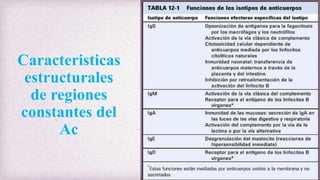 Caracteristicas
estructurales
de regiones
constantes del
Ac
 