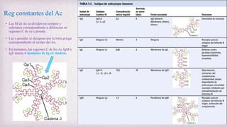Reg constantes del Ac
• Las M de Ac se dividen en isotipos y
subclases correspondiente a diferncias en
regiones C de su c.pesada.
• Las c.pesadas se designan por la letra griega
correspondiente al isotipo del Ac.
• En humanos, las regiones C de los Ac IgM e
IgE tienen 4 dominios de Ig en tándem.
 