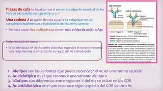 Piezas de cola se localizan en el extremo carboxilo terminal de las
formas secretadas en c.pesadas m y a
Una cadena J de unión de cola cuya fx es estabilizar en los
complejos multimericos y basolateral del extremo luminal
• Por esta razón Acs multiméricos tienen más avidez de unión a Ags
Enfermedad del suero
• Si se introduce M de Ac entre distintas especies el receptor monta
una resp.inmune y sintetiza Ac vs reg.C del Ac introducido
1. Alotipos son las variantes que puede reconocer el Ac en una misma especie
2. Ac alelotipico es el que reconoce una variante alotípica
3. idiotipos son diferencias entre regiones V del Ac; se sitúan en los CDR
4. Ac antiidiotípico es el que reconoce algún aspecto del CDR de otro Ac
 