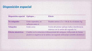 Disposición espacial
Disposición espacial Epítopos… Efecto
No solapados Están separados, no
influyen entre sí
Pueden unirse a 2 o + M de Ac al mismo Ag
Solapados Están cerca Unión del primer epítopo índice interferencia
estérica con la unión del segundo Ac
Efectos alostéricos Cambio en la estructura tridimensional del antígeno, influyendo de forma
positiva o negativa en la unión a un segundo anticuerpo (estorbo alostérico)
 