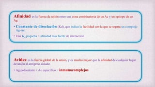 Afinidad es la fuerza de unión entre una zona combinatoria de un Ac y un epítopo de un
Ag
• Constante de disociación (Kd), que indica la facilidad con la que se separa un complejo
Ag-Ac.
• Una Kd pequeña = afinidad más fuerte de interacción
Avidez es la fuerza global de la unión, y es mucho mayor que la afinidad de cualquier lugar
de unión al antígeno aislado.
• Ag polivalente + Ac específico = inmunocomplejos
 