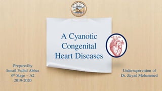 A Cyanotic
Congenital
Heart Diseases
Prepared by
Ismail Fadhil Abbas
6th Stage – A2
2019-2020
Undersupervision of
Dr. Zeyad Mohammed
 