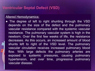Altered Hemodynamics: ●  The degree of left to right shunting through the VSD depends on the size of the defect and the pulmonary vascular resistance compared with the systemic vascular resistance. The pulmonary vascular system is high in the newborn. Over the first few weeks of life, the resistance decreases. As this occurs, an increased amount of blood shunts left to right of the VSD level. The pulmonary vascular circulation receives increased pulmonary blood flow. With large defects the pulmonary arteries are exposed to systemic pressures, causing pulmonary hypertension, and over time, progressive pulmonary vascular disease. Ventricular Septal Defect (VSD) 
