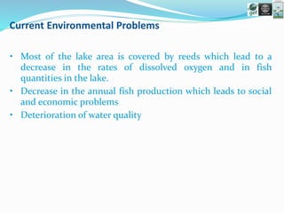 Current Environmental Problems
• Most of the lake area is covered by reeds which lead to a
decrease in the rates of dissolved oxygen and in fish
quantities in the lake.
• Decrease in the annual fish production which leads to social
and economic problems
• Deterioration of water quality
 
